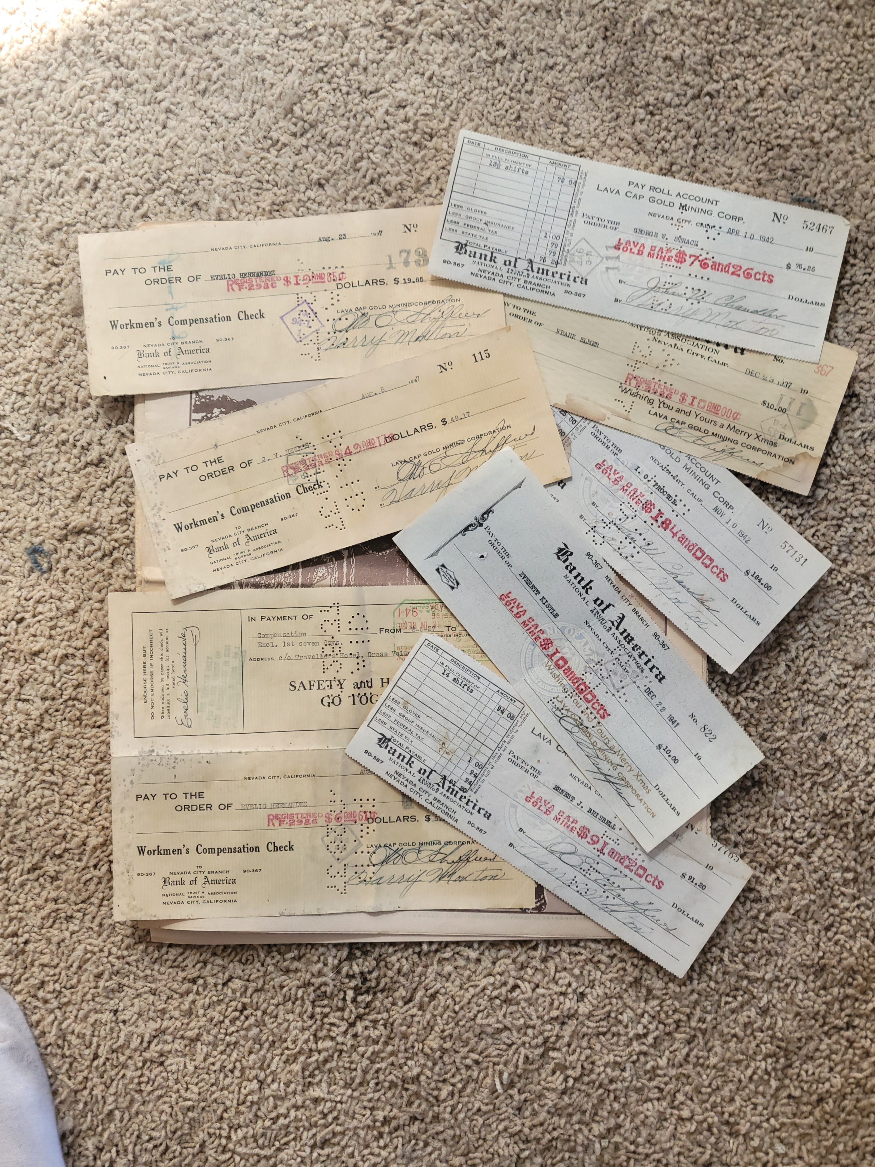 Preservation Efforts